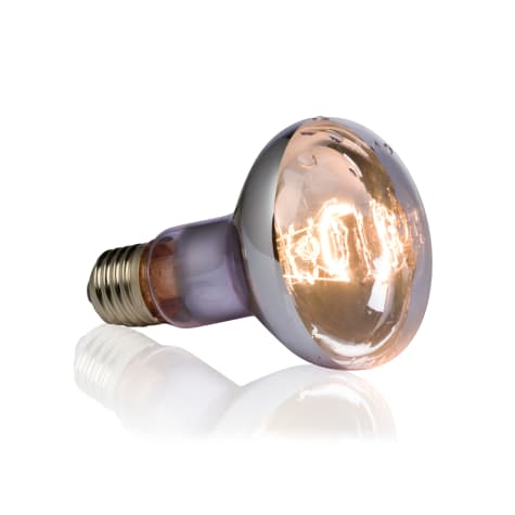 Exo-Terra 75 Watt Swamp Basking Spot Lamp