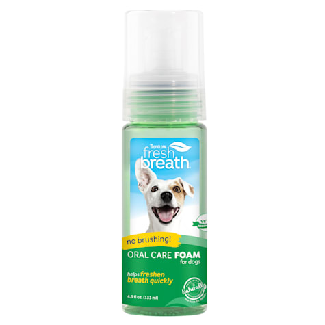 TropiClean Fresh Breath Oral Care Mint Foam for Pets