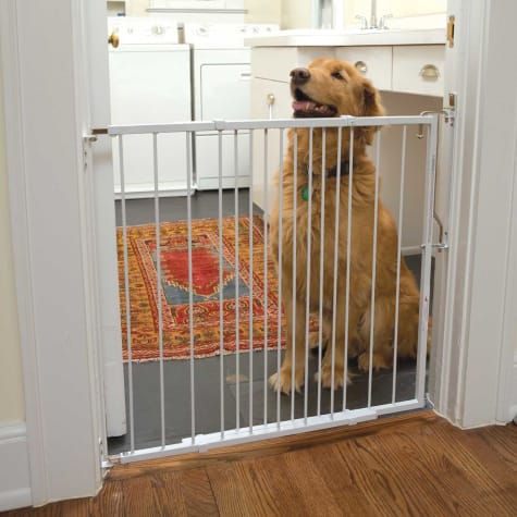 Cardinal Gates White Duragate Pet Gate