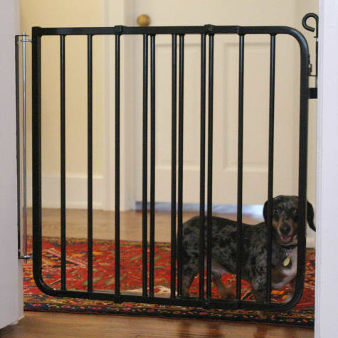 auto dog gate