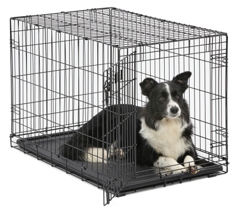 pet crates for large dogs