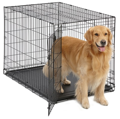 petco 42 inch dog crate