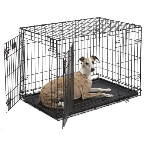small folding dog crate