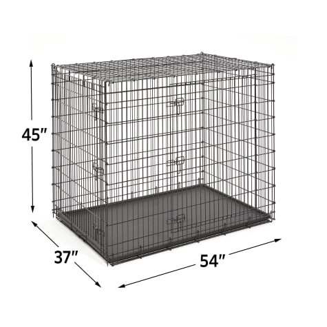 big dog cage