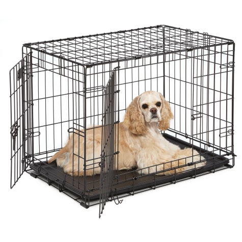 folding travel dog crate