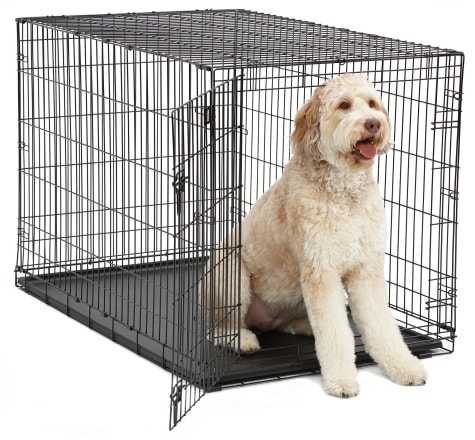 petco 48 inch dog crate