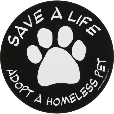 Imagine This Save A Life Adopt A Homeless Pet Car Magnet