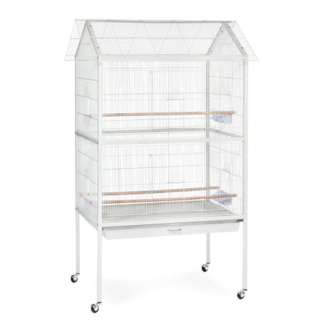 bird travel cage petco