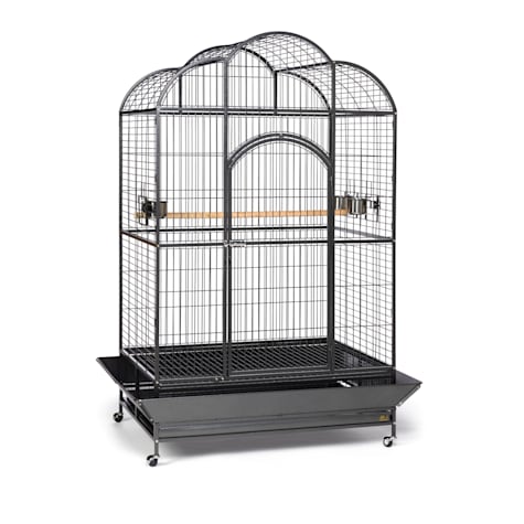 Prevue Pet Products Signature Series Wrought Iron Silverado Macaw Dometop Bird Cage in Silver