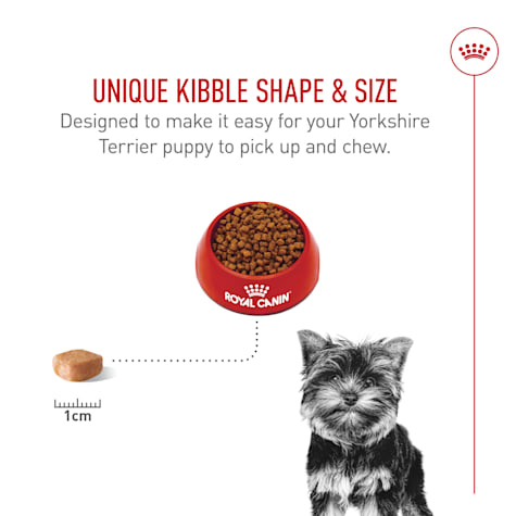 petco royal canin yorkshire terrier