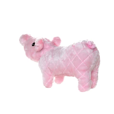 pig dog toy petco