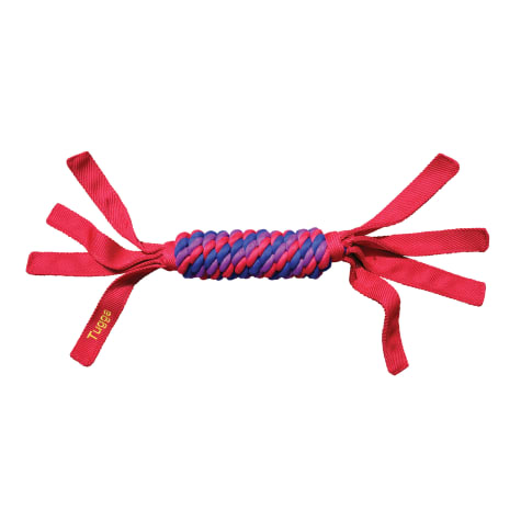 KONG Tugga Wubba Assorted Dog Toy