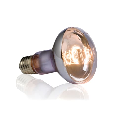 Exo-Terra 50 Watt Swamp Basking Spot Lamp