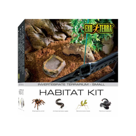 Exo-Terra Invertebrate Glass Terrarium Kit