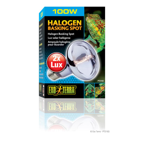 Exo-Terra Halogen Basking Spot Lamp