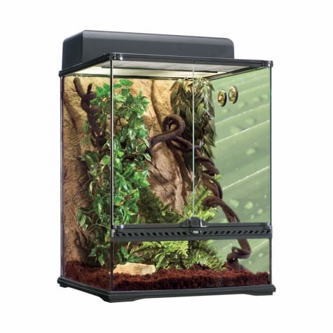 terrarium petco