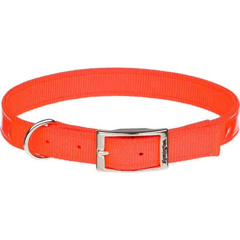 dog collars orange