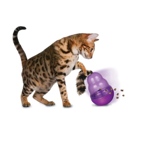 cat toy treat dispenser