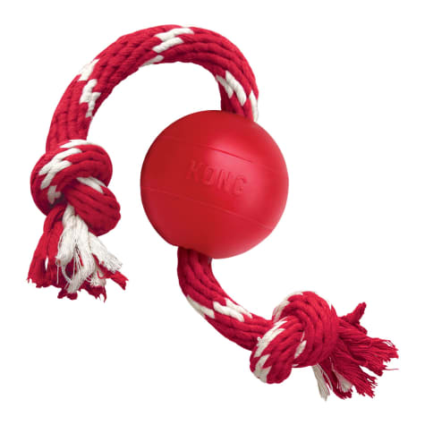 dog ball on rope