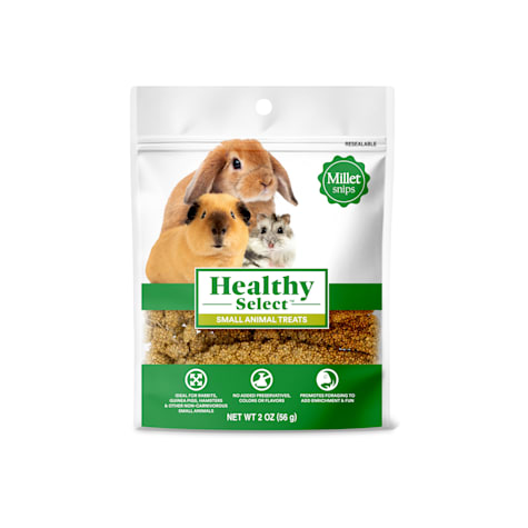 Healthy Select Millet Snips for Small Animals