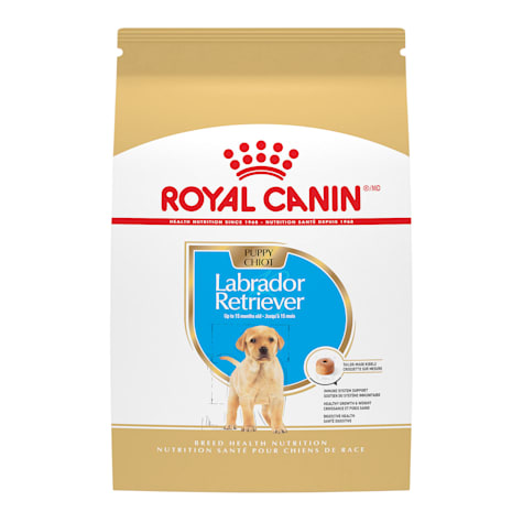 Royal Canin Breed Health Nutrition Labrador Retriever Puppy Dry Dog Food