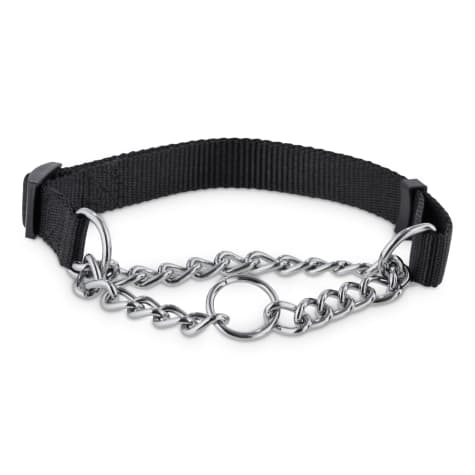 Petco Nylon and Chain Half Check Dog Collar