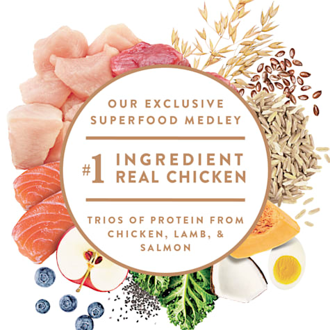 petco nutro ultra senior