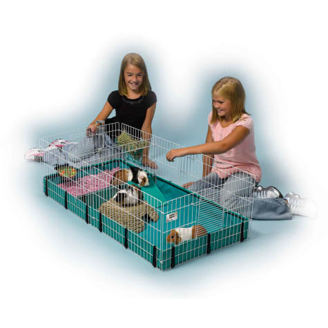 expandable guinea pig cage