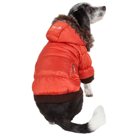 petco coats