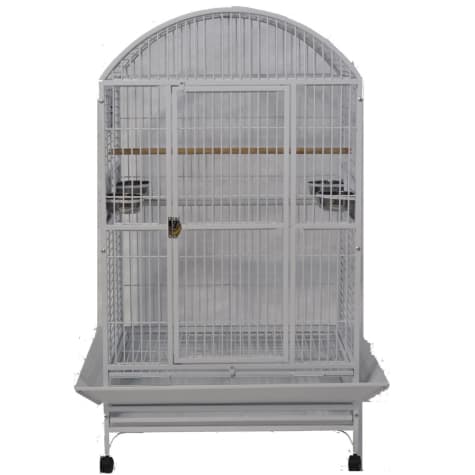A&E Cage Company Stainless Steel Palace Dometop X-Large Bird Cage