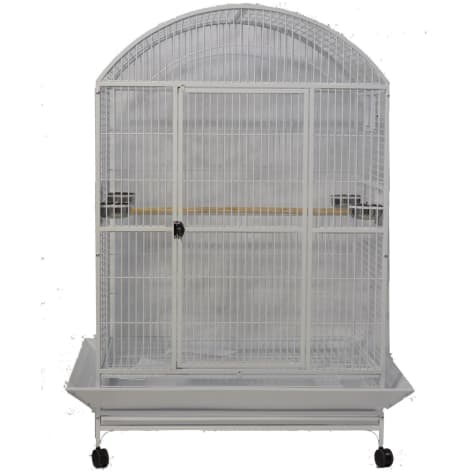 A&E Cage Company Stainless Steel Macaw Mansion Enormous X-Large Dometop Bird Cage