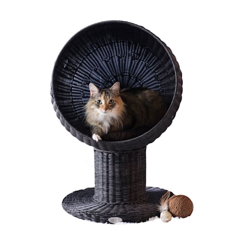 The Refined Feline Kitty Ball Bed in Espresso