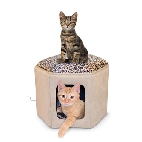 thermo cat bed