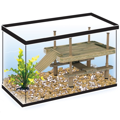 turtle basking platform petsmart