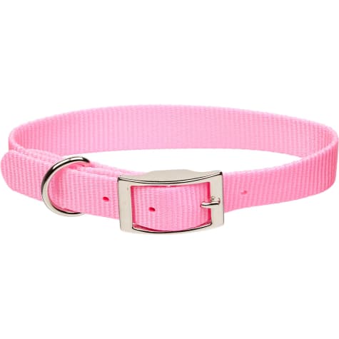 Coastal Pet Metal Buckle Nylon Personalized Dog Collar in Bright Pink ...