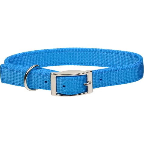 Coastal Pet Metal Buckle Double Ply Nylon Personalized Dog Collar in ...