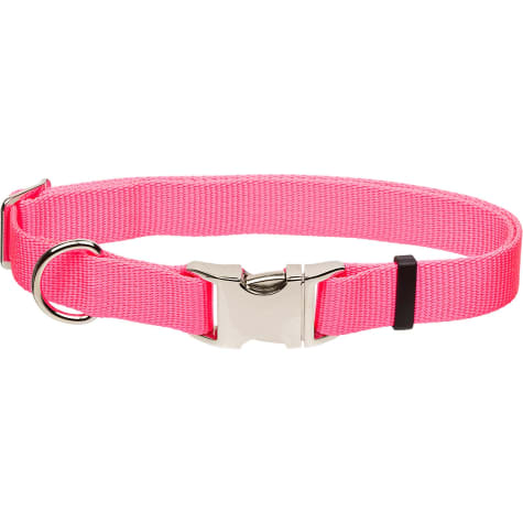 metal buckle dog collar