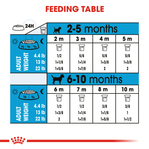 royal canin feeding chart