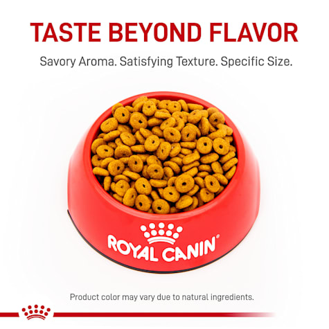 royal canin mini weight care dry dog food