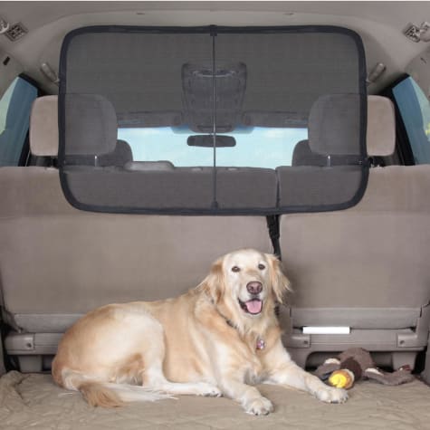 travel barriers for dogs