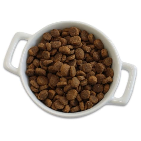 merrick dog food samples