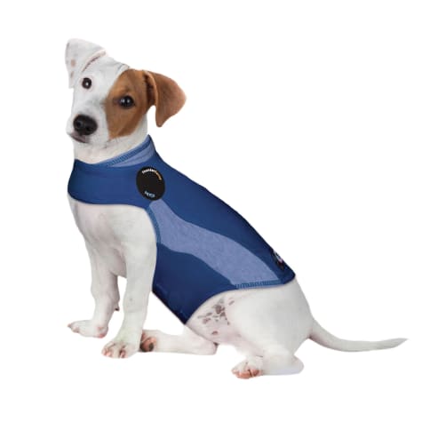 petco thunder shirt