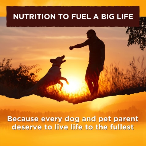 Do You Know Someone Who Has Difficulty Paying Their Pet Expenses Paw Passion