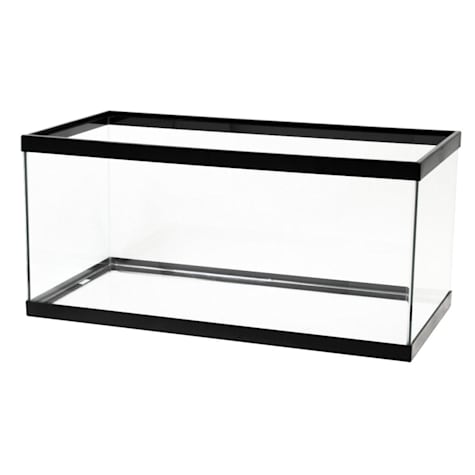 Aqueon Standard Glass Aquarium Tank 40 Gallon Breeder