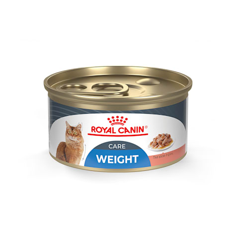 Royal Canin Feline Weight Care Thin Slices in Gravy Canned Adult Wet Cat Food Multipack