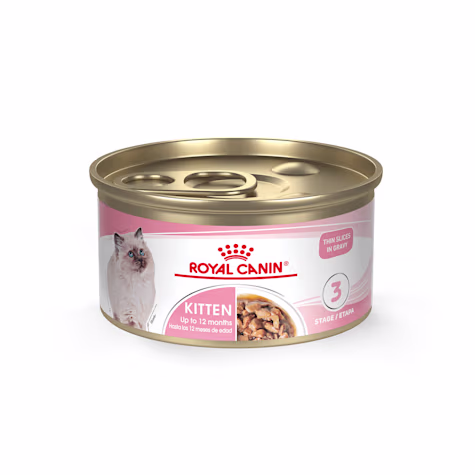 Royal Canin Feline Health Nutrition Kitten Thin Slices in Gravy Canned Cat Food