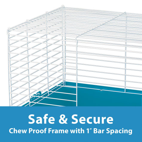 kaytee complete guinea pig kit