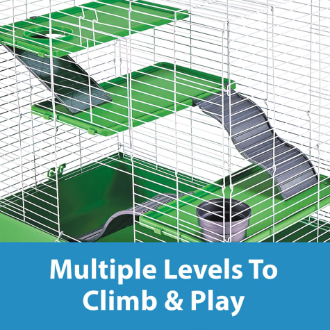 chinchilla cage petco