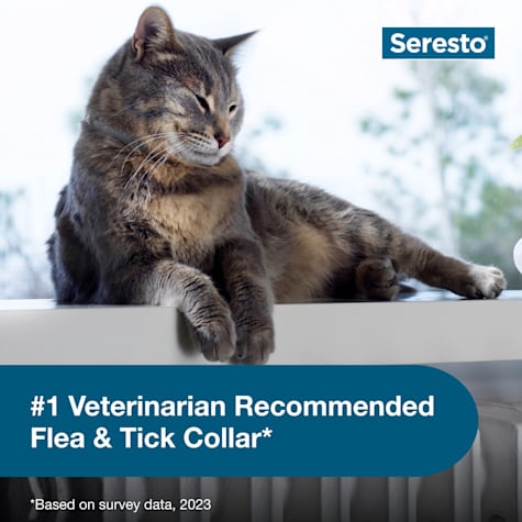 petco seresto cat