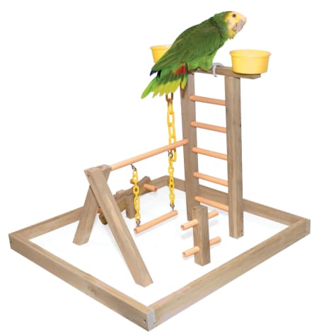 Caitec Acrobird Playground